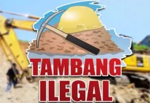 Kasus Hutan Lindung, PT Bososi Janji Tak Intervensi Proses Hukum ilustrasi tambang ilegal