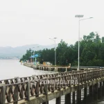 Tracking Mangrove Lahundape Kota Kendari