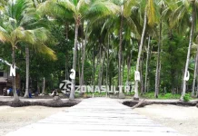 Warga Desa Namu Menanti Penerangan Listrik Warga Desa Namu Menanti Penerangan Listrik