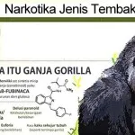 Tiga Pelajar di Kendari Positif Gunakan Narkotika Jenis Tembakau Gorilla ilustrasi Narkotika Jenis Tembakau Gorilla