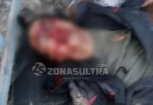 Gara-Gara Menahan Truk Pemuat Kayu, Pegawai Dishut Koltim Tewas Ditabrak Gara-Gara Menahan Truk Pemuat Kayu, Pegawai Dishut Koltim Tewas Ditabrak