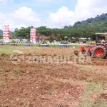 Pemda Konut Akan Tanam Bibit Cabai di Pekarangan Kantor Bupati Pemda Konut Akan Tanam Bibit Cabai di Pekarangan Kantor Bupati