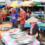 Disperindag Wakatobi Beri Bantuan Meja Penjual Ikan dan Sayur Disperindag Wakatobi Beri Bantuan Meja Penjual Ikan dan Sayur