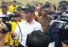 Besok, Menteri Pertanian Lakukan Penanaman Jagung di Konut Sikapi Fluktuasi Harga Cabai Menteri Amran Ajak IRT Tanam Cabai di Pekarangan