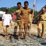 Sukseskan Penanaman Jagung 2.000 Hektar, SKPD Konut Tanam Jagung di Instansi Masing-masing Sukseskan Penanaman Jagung 2.000 Hektar, SKPD Konut Tanam Jagung di Instansi Masing-masing