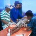 Peserta Bakti Sosial Kesehatan Membludak, Syahriah : Bukti Kurangnya Perhatian Pemerintah Peserta Bakti Sosial Kesehatan Membludak, Syahriah : Bukti Kurangnya Perhatian Pemerintah