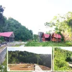 Ingin Berwisata Alam Yuk Kunjungi Kebun Raya Kendari Ingin Berwisata Alam Yuk Kunjungi Kebun Raya Alam Kendari