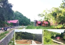 Ingin Berwisata Alam Yuk Kunjungi Kebun Raya Kendari Ingin Berwisata Alam Yuk Kunjungi Kebun Raya Alam Kendari