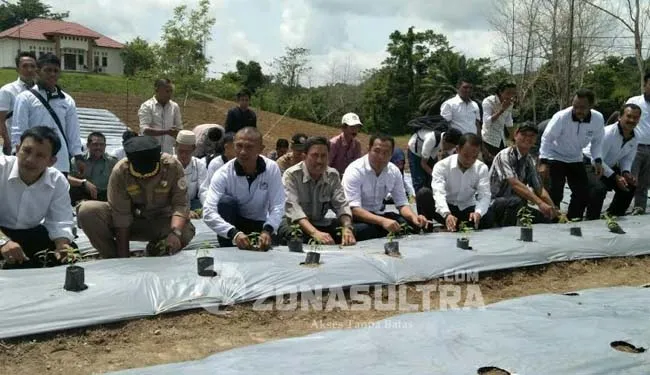 Penanaman Cabe Wujudkan Ketersediaan Pangan, Balai Karantina dan Gempita Tanam Cabai