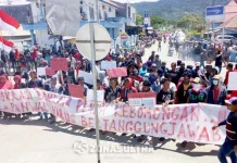 Demo Massa di KPU Bombana Diwarnai Aksi Saling Dorong dengan Polisi Demo Massa di KPU Bombana Diwarnai Aksi Saling Dorong dengan Polisi