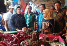 Tinjau Harga dan Pasokan Bahan Pangan, Dirjen Perdagangan Turun ke Pasar Basah Mandonga Tinjau Harga dan Pasokan Bahan Pangan, Dirjen Perdagangan Turun ke Pasar Basah Mandonga