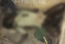 Guru SD Mandonga Ditemukan Tewas Membusuk di Kontrakannya Guru SD Mandonga Ditemukan Tewas Membusuk di Kontrakannya