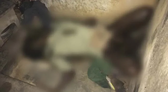 Guru SD Mandonga Ditemukan Tewas Membusuk di Kontrakannya