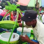 Pedagang Minuman Raup Untung Saat Kampanye Akbar Pilwali Kendari Pedagang Minuman Raup Untung Saat Kampanye Akbar Pilwali Kendari