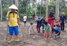 Masyarakat Wawolesea Tanam Jagung Hibrida Secara Swadaya Masyarakat Wawolesea Tanam Jagung Hibrida Secara Swadaya