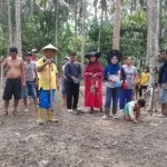 penanaman_jagung_konut1