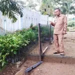 Ciptakan RTH, DLH Konut Gelar Program Penanaman 1.000 Pohon Ciptakan RTH, DLH Konut Gelar Program Penanaman 1.000 Pohon