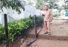 Ciptakan RTH, DLH Konut Gelar Program Penanaman 1.000 Pohon Ciptakan RTH, DLH Konut Gelar Program Penanaman 1.000 Pohon