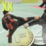 Menerawang Prestasi Cabor Bela Diri Sultra di PON XX Menerawang Prestasi Cabor Bela Diri Sultra di PON XX