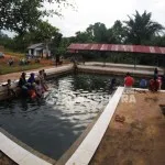 Nikamati Sensasi Hot Spring di Wisata Alam Sonai Nikamati Sensasi Hot Spring di Wisata Alam Sonai