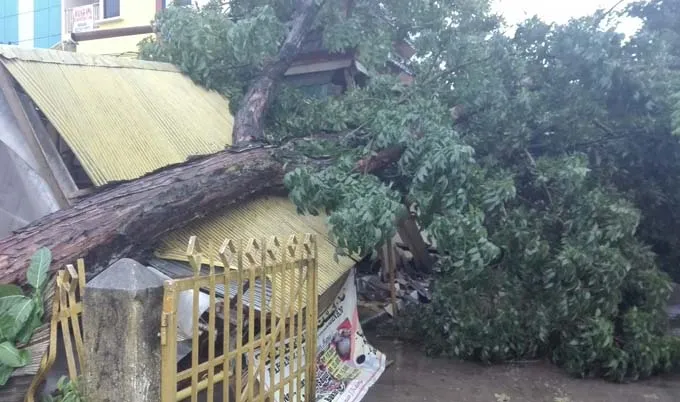 banjir2 Pohon Tumbang Timpa Kantin DPD Golkar Sultra