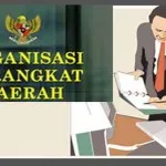 Dewan Soroti Tidak Jelasnya Pengukuhan OPD Mubar ilustrasi organisasi perangkat daerah (OPD)