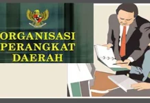 Dewan Soroti Tidak Jelasnya Pengukuhan OPD Mubar ilustrasi organisasi perangkat daerah (OPD)