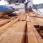 Diduga Muat Kayu Ilegal, Polisi Amankan Kapal Asal Wakatobi Oknum Polisi Diduga Terlibat Kasus Kayu Ilegal di Konut