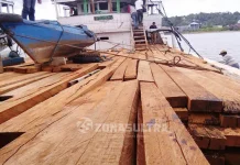 Oknum Polisi Diduga Terlibat Kasus Kayu Ilegal di Konut Oknum Polisi Diduga Terlibat Kasus Kayu Ilegal di Konut