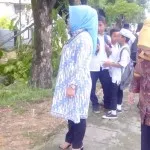 60 Persen Pohon di Kota Kendari Perlu Peremajaan 60 Persen Pohon di Kota Kendari Perlu Peremajaan