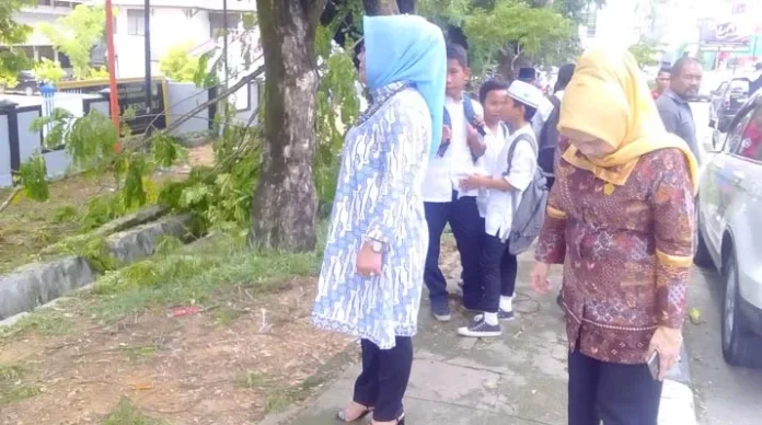 60 Persen Pohon di Kota Kendari Perlu Peremajaan