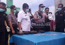 Narkoba Sitaan Polda Sultra Selama 10 Tahun Dimusnahkan Narkoba Sitaan Polda Sultra Selama 10 Tahun Dimusnahkan