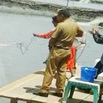 Menteri Kelautan Panen Udang Vaname di Kolaka Menteri Kelautan Panen Udang Vaname di Kolaka