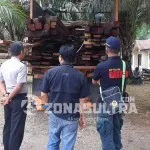 Sporc Polhut Amankan Puluhan Batang Kayu Tanpa Dokumen Sporc Polhut Amankan Puluhan Batang Kayu Tanpa Dokumen