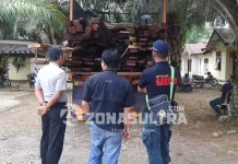 Sporc Polhut Amankan Puluhan Batang Kayu Tanpa Dokumen Sporc Polhut Amankan Puluhan Batang Kayu Tanpa Dokumen