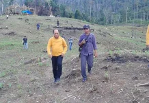 PT Jafpa Makassar Siap Bangun Pabrik Pengolahan Jagung Hibrida di Konut PT Jafpa Makassar Siap Bangun Pabrik Pengolahan Jagung Hibrida di Konut