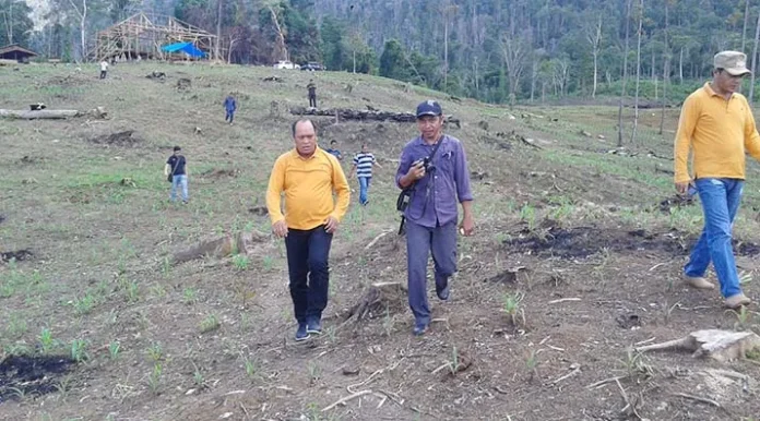 PT Jafpa Makassar Siap Bangun Pabrik Pengolahan Jagung Hibrida di Konut