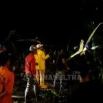 Ini Titik Pohon Tumbang di Kendari Ini Titik Pohon Tumbang di Kendari