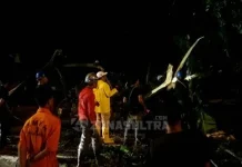 Ini Titik Pohon Tumbang di Kendari Ini Titik Pohon Tumbang di Kendari