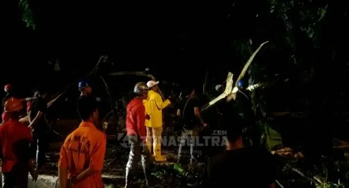 Ini Titik Pohon Tumbang di Kendari