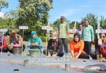 Tingkatkan Pendapatan Keluarga dan Pemenuhan Gizi Keluarga Melalui Gerakan Tanam Cabai Tingkatkan Pendapatan Keluarga dan Pemenuhan Gizi Keluarga Melalui Gerakan Tanam Cabai