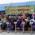 Gandeng Ibu PKK, Pemprov Sultra Canangkan Gerakan Tanam Cabai di Pekarangan