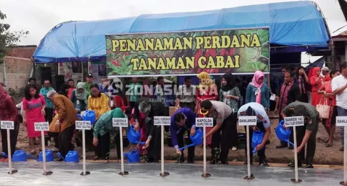 Gandeng Ibu PKK, Pemprov Sultra Canangkan Gerakan Tanam Cabai di Pekarangan
