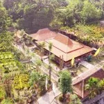 Kampung Flory, Homestay Desa Wisata Tanaman Hias dengan Kolam Terapi Ikan Kampung Flory, Homestay Desa Wisata Tanaman Hias dengan Kolam Terapi Ikan