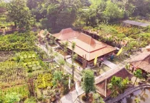 Kampung Flory, Homestay Desa Wisata Tanaman Hias dengan Kolam Terapi Ikan Kampung Flory, Homestay Desa Wisata Tanaman Hias dengan Kolam Terapi Ikan