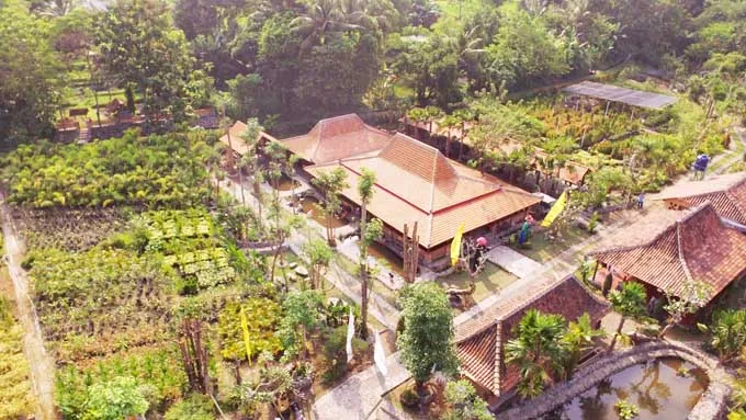 Kampung_Flory Kampung Flory, Homestay Desa Wisata Tanaman Hias dengan Kolam Terapi Ikan