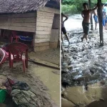 Puluhan Rumah Warga Desa Batu Putih Kolut Terendam Banjir Puluhan Rumah Warga Desa Batu Putih Kolut Terendam Banjir