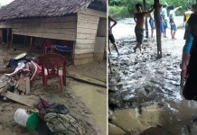 Puluhan Rumah Warga Desa Batu Putih Kolut Terendam Banjir Puluhan Rumah Warga Desa Batu Putih Kolut Terendam Banjir