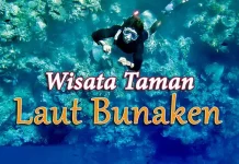 Baru Tiga Bulan, Wisman ke Manado Sudah Mendekati Setengah Capaian 2016 Baru Tiga Bulan, Wisman ke Manado Sudah Mendekati Setengah Capaian 2016
