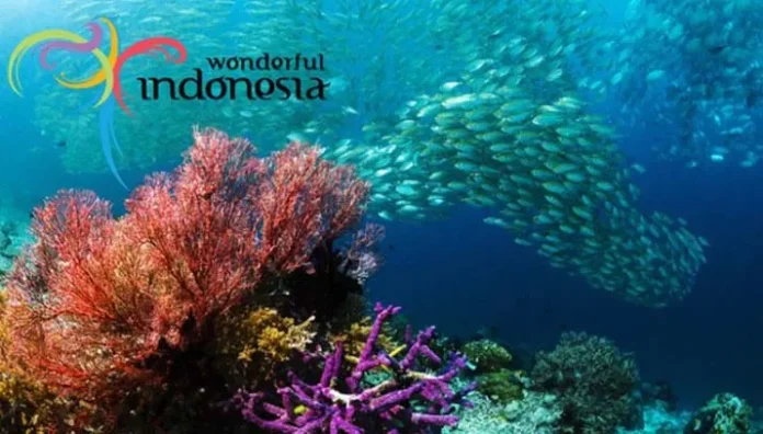 ilustrasi wakatobi